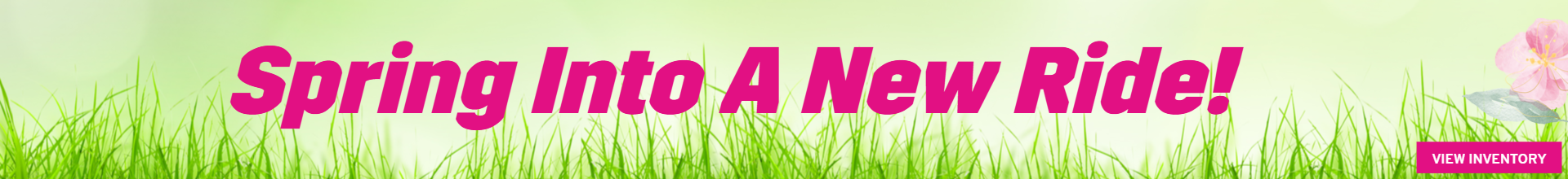 Spring Into A New Ride